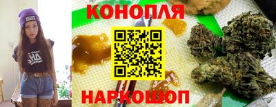 не бодяженный Кингисепп