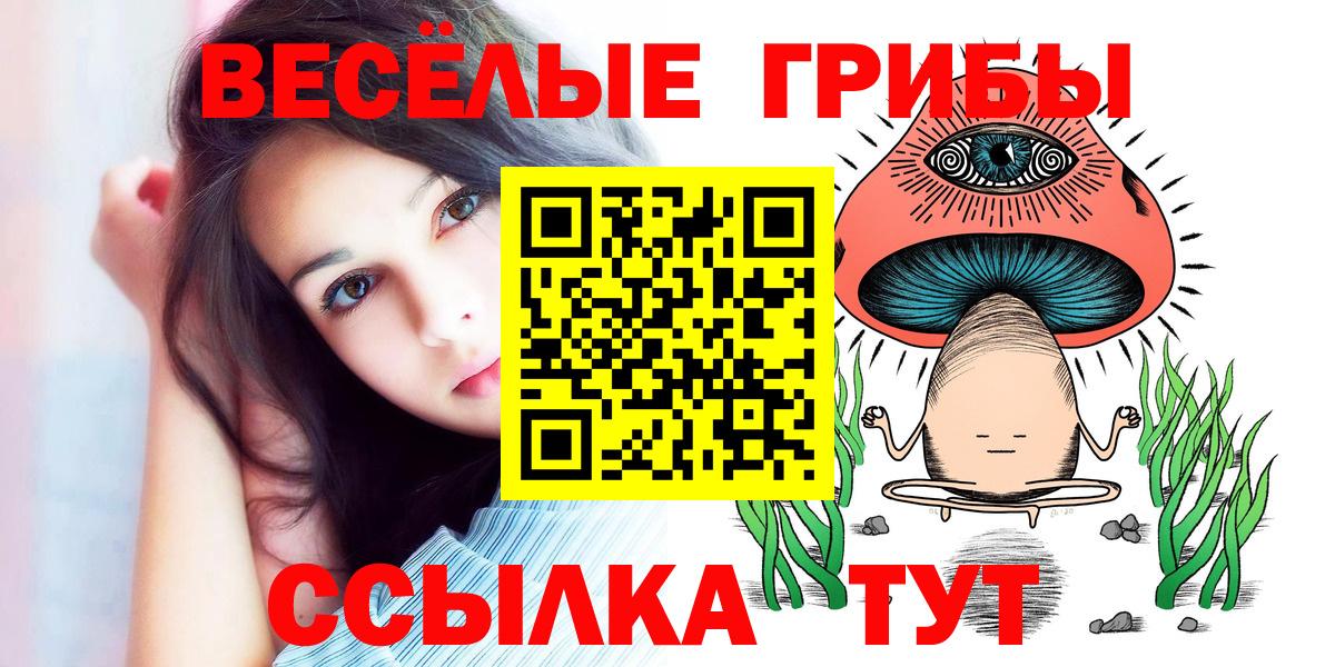 Псилоцибиновые грибы ЛСД Биробиджан