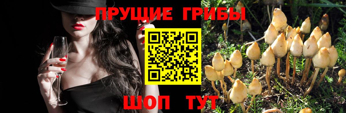 Биробиджан  Псилоцибиновые грибы ЛСД  Вход с VPN 